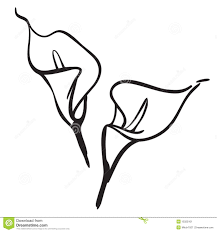 Royalty Free Illustrations And Royalty Free Clip Art Images Calla Lily Tattoos Lilies Drawing Flower Drawing