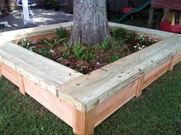 Diy Great Ideas Landscaping Around Trees Outdoor Gardens Backyard