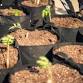Nature Play Days at Minnetrista | Family Outdoor...