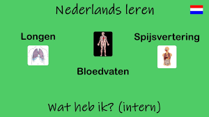 (imparting knowledge) leren, lesgeven nw het, ont.: Nederlands Leren Wat Heb Ik Intern Les 37 Youtube