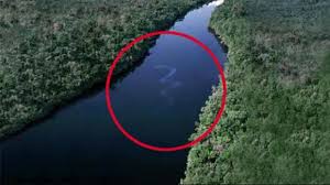 Cette femelle python a été mesurée le 12 octobre 2011 et détient depuis le record du monde du plus long serpent vivant en captivité au monde. Le Plus Grand Anaconda Du Monde N Est Pas En Amazonie