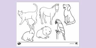 See more ideas about animal coloring pages, coloring pages, coloring pages for kids. Domestic Animals Colouring Page Colouring Sheets