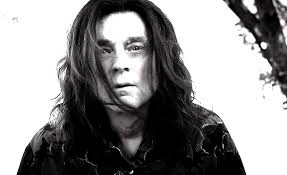 Brad Dourif as Charles Lee Ray