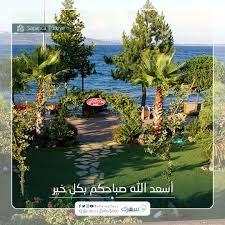 أسعد الله صباحكم بكل خير متابعينا الكرام سفرك Golf Courses Sapanca Field