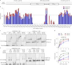 Explore more of what's going on right now. Dissecting Oct4 Defines The Role Of Nucleosome Binding In Pluripotency Nature Cell Biology