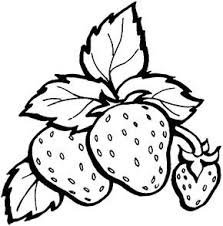 Hal ini disebabkan saat mewarnai anak anak akan melatih imajinasinya guna memilih warna yang sesuai dengan gambar yang akan diwarnai. 18 Ide Buah Buahan Buah Buku Mewarnai Warna