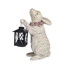 Elisa Stehling Dona Coelha Florida