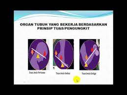Diantara tuas berikut, yang memiliki keuntungan mekanis terbesar adalah yang memiliki. Manfaat Pesawat Sederhana Dalam Kehidupan Sehari Hari Youtube