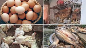 নিত্যপণ্যের বাজারে আগুন: মাছ, মুরগি ও ডিমের দামে দিশাহারা ক্রেতারা - দৈনিক স্পষ্টবাদী