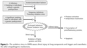 The Role Of Oxidative Stress In Copd Current Concepts And