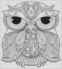 Google has many special features to help you find exactly what you're looking for. 35 Sketsa Burung Merpati Hantu Merak Kakak Tua Pelajarindo Com