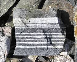 Krazy daisy flowers cartersville ga. Gneiss Mineral Information Data And Localities