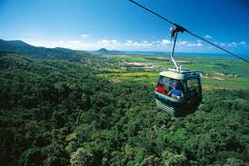 Image result for images of the Skyrail transportation within the daintree rainforest