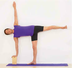 Ardhachandra Marla Apt Yoga Asanas Iyengar Yoga Yoga Poses