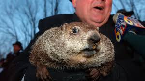 The city has celebrated groundhog day since 1887, but it became a true spectacle after the in the years following the release of groundhog day, a 1993 film starring bill murray, crowds numbering. It S Groundhog Day So Here S The Real Dirt On Your Weather Forecaster