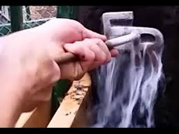 Our freeze brander is a great choice for marking horses and other livestock. Freeze Branding With Liquid Nitrogen Youtube