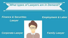 Image result for what types of lawyer are there