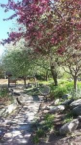 Botanic Gardens Steamboat Springs Co Steamboat Springs Botanical Gardens Favorite Places