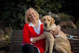 Survey Reveals The Joys And Obstacles For Guide Dogs For The Blind