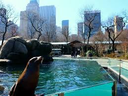 View the list of the parks and recreation offices of the municipalities in broward county. Central Park Zoo Tickets Newyorkcity De