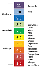 Science Basics For Food Safety And Quality Virginia