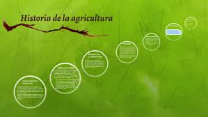 At least eleven separate regions of the old and new world were involved as independent centers of origin. Historia De La Agricultura By Elenitaaa 08