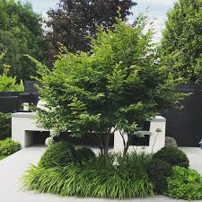 Pin On Jardins