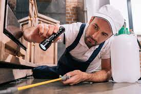 How often to pest control. How Often Should Pest Control Service Your Home Expert Home Report