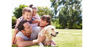 The Science Behind the Human-Canine Bond – PawCo