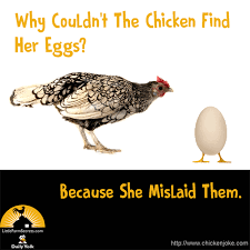 Why Couldn T The Chicken Find Her Eggs Because She Mislaid Them Chicken Jokes Cute Jokes Funny Jokes For Kids