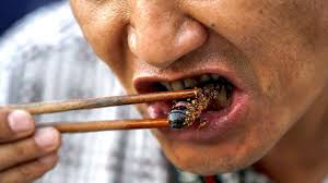 Bugs You Can Eat Youtube