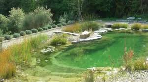 Sans Chimie Sans Clore Sans Beaucoup Des Travaux De Nettoyages C Est Cela Piscine Naturelle Kert