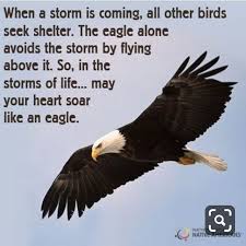 3 Running Doe Runningdoe1 Twitter American Indian Quotes Indian Quotes Eagles Quotes