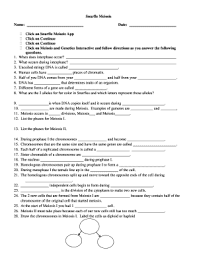 Fillable Online Fillable Online Snurfle Meiosis Worksheet Fax Email Print Fax Email Print Pdffiller