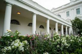Inessa nichols design on instagram: White House Rose Garden History Melania Trump S Changes To The Rose Garden
