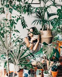 Boho Mobile Desktop Lightroom Preset Blogger Travel Etsy Plant Lady Plants Plant Decor