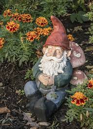 Now he's in the great garden in the afterlife. Garden Gnome Information Learn About The History Of Garden Gnomes