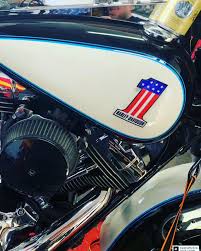 Image result for Aqua Pearl 1994 FLSTF