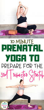 Pin On Pregnancy Natural Pregnancy And Prenatal Care