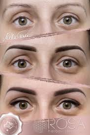 Pin On Pmu Eyebrows