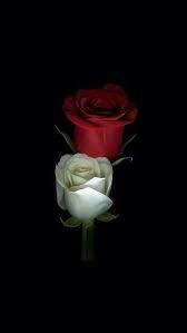 Pin By Anastasia Dendrinou On Topia Beautiful Flowers Wallpapers Flower Phone Wallpaper Beautiful Flowers Pictures