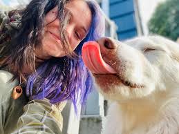 Hello plzz help me My pup going to dead Any consultation to give me??? She  can't improve last 3 days 😔