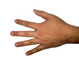 Five Finger Hand Png Image Finger Hands Hand Illustration Five Fingers