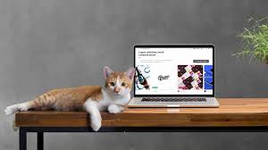 99designs review, pros & cons. 99designs Review Experience Of Buying A Logo Dlc Blog