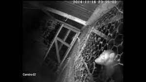 L'auteur de l'attaque a été rapidement interpellé par des policiers municipaux et nationaux intervenus sur place, selon les premiers éléments de l'enquête. Choc Clash La Fouine La Poule En Camera Vison Nocturne Youtube