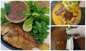 Cara membuat makanan kucing dari ikan. Resepi Sambal Tumis Budu Makan Dengan Ikan Goreng Terangkat Habis Tak Perlu Lauk Lain Dah Daily Makan