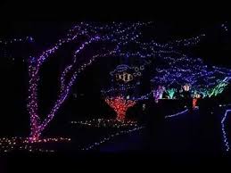 Norfolk Botanical Garden Of Lights Million Bulb Walk Garden Of Lights Botanical Gardens Norfolk