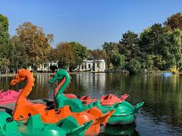 It is the seat of cluj county in the northwestern part of. One Day In Cluj Napoca A Step By Step Guide To The Top Things To Do