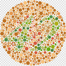 Color Blindness Ishihara Test Visual Perception Color Vision