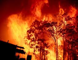 Photographer Matthew Abbott Documents Australia S Bushfire Crisis In Terrifying Pictures Terrifying Pictures Bushfires In Australia Pictures